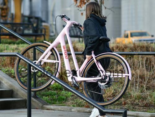 LeMond Dutch recensioni e scheda tecnica